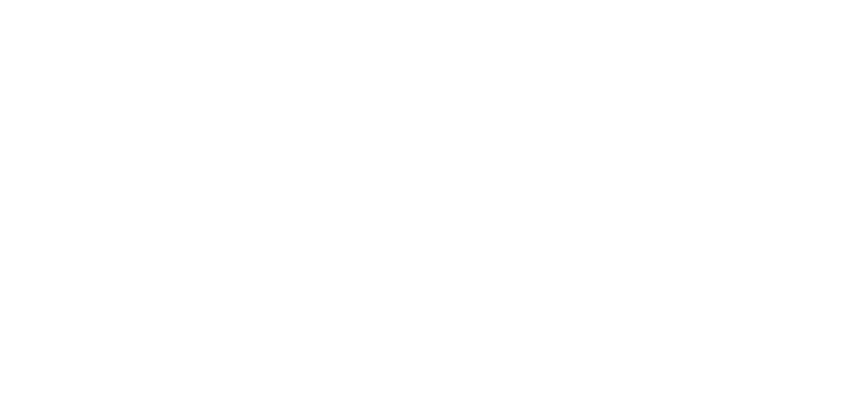 デンソーとトヨタが長年培ってきた半導体技術を結集し、トヨタのモビリティ視点とデンソーの車載システム・部品視点を融合。半導体で電動車や自動運転車にイノベーションを起こし、未来のモビリティ社会の実現に貢献していきます。